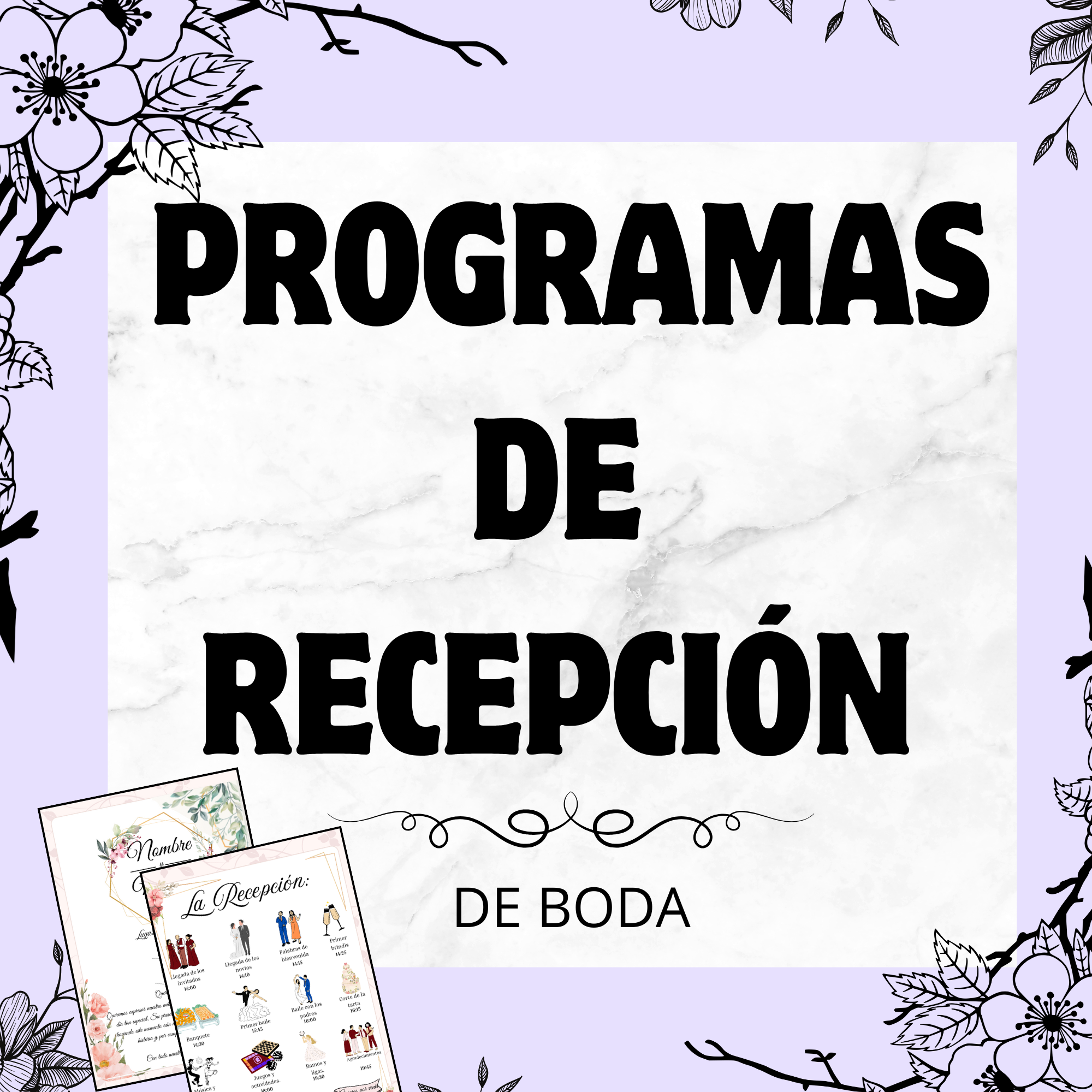 Programas de Recepción