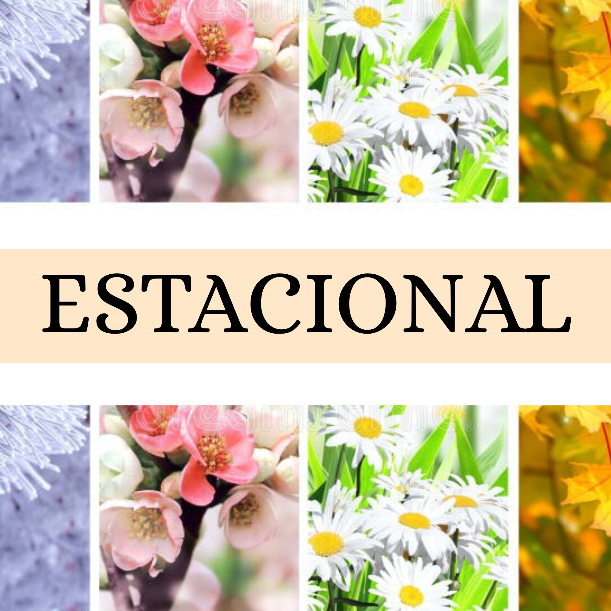 Estacionales